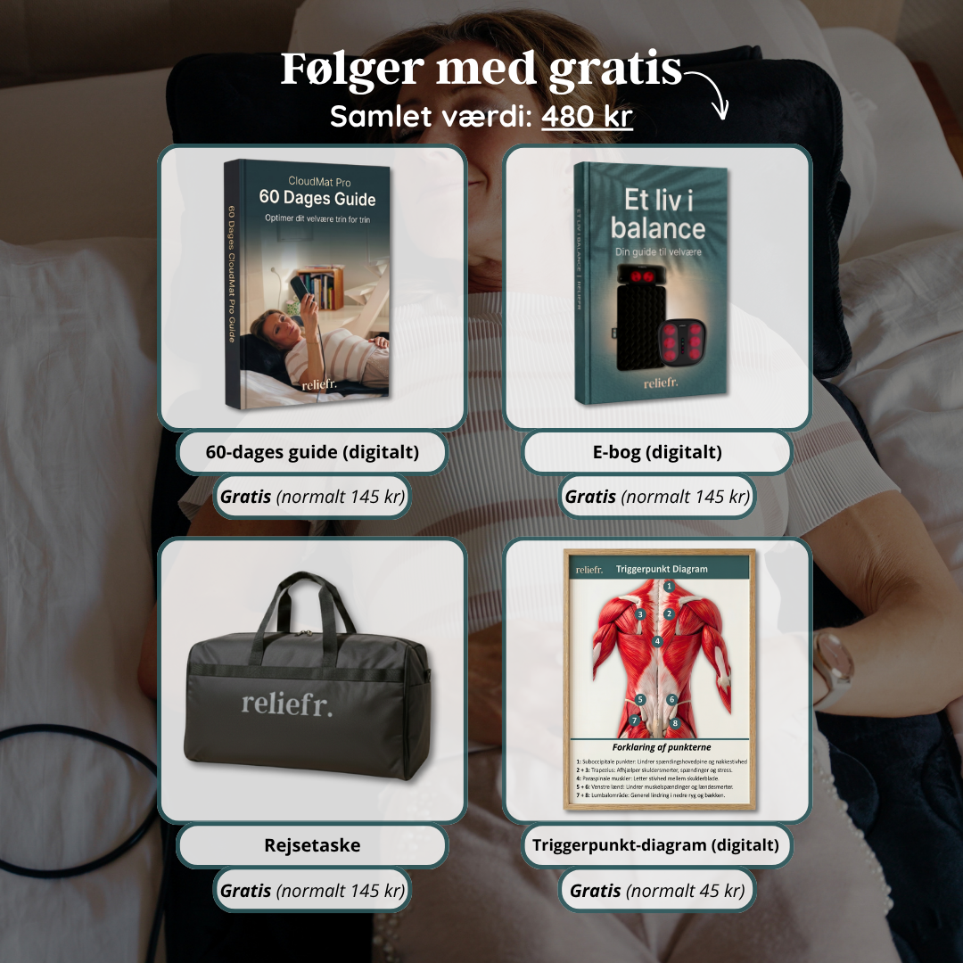 CloudMat Pro 2. Sortering